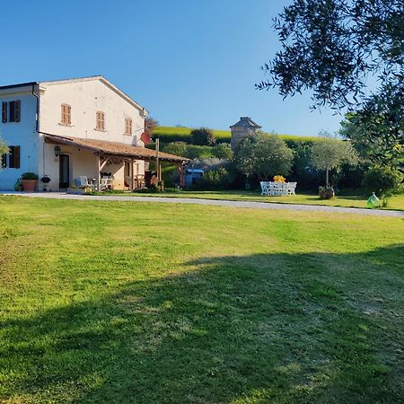 Rustico Del Bozzo Pensionat Castelleone di Suasa Eksteriør billede