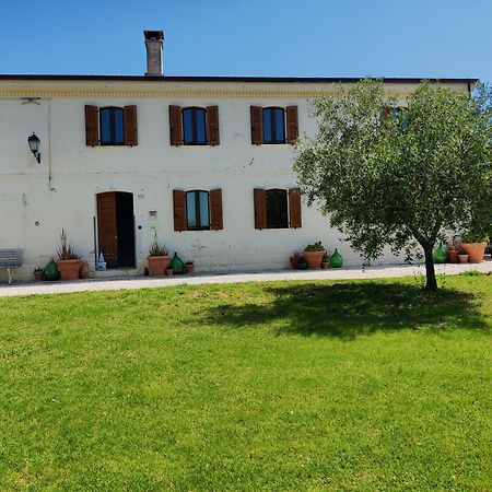 Rustico Del Bozzo Pensionat Castelleone di Suasa Eksteriør billede