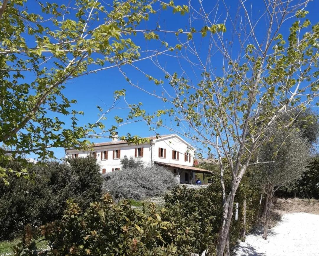 Rustico Del Bozzo Pensionat Castelleone di Suasa Eksteriør billede
