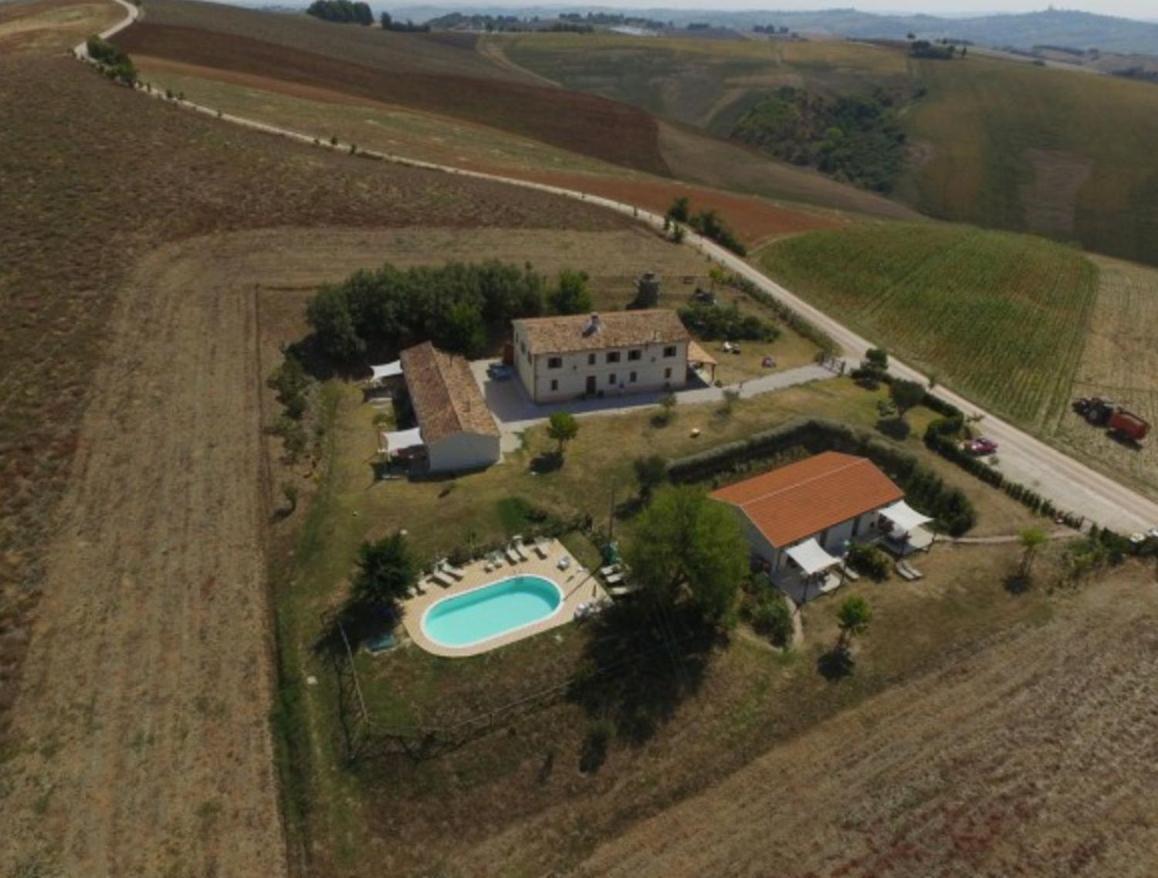 Rustico Del Bozzo Pensionat Castelleone di Suasa Eksteriør billede