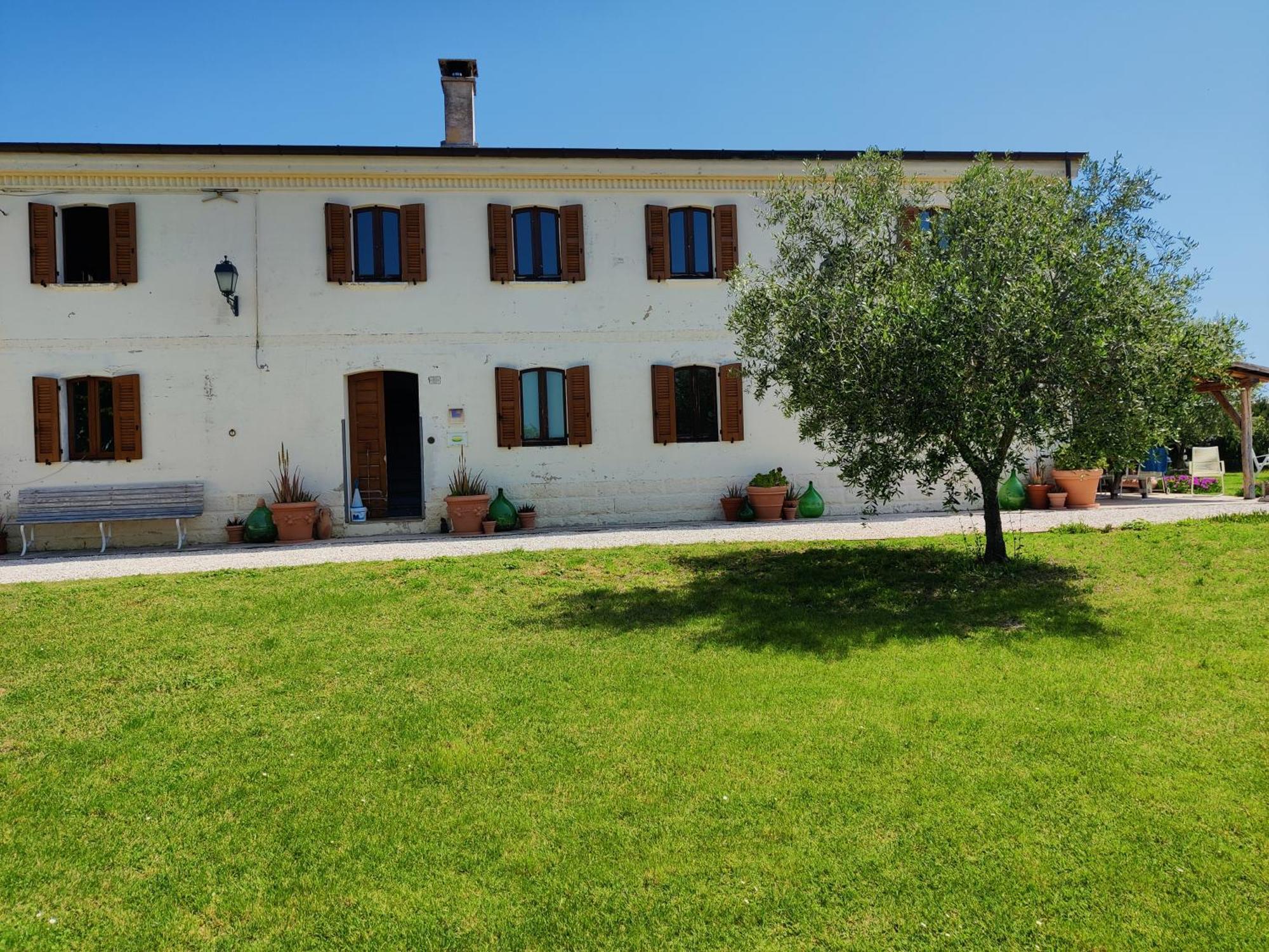 Rustico Del Bozzo Pensionat Castelleone di Suasa Eksteriør billede