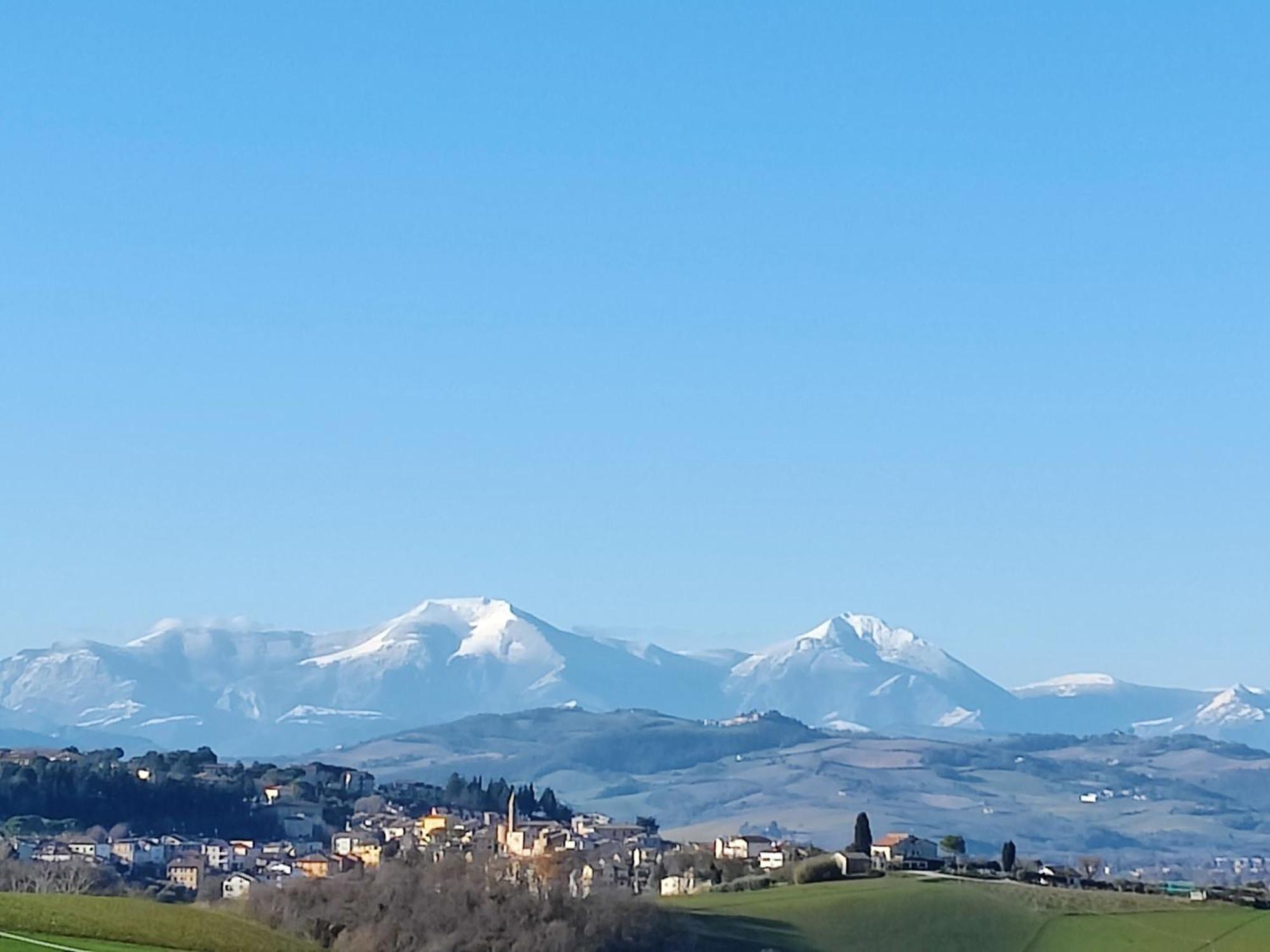 Rustico Del Bozzo Pensionat Castelleone di Suasa Eksteriør billede